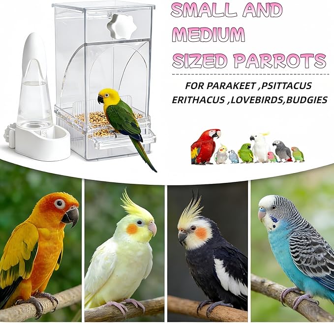 Automatic No Mess Bird Feeder and Water Dispenser Set, Acrylic Food Container and Drinker Bowl for Parrot Cage, Easy Clean Accessories for Parakeets Cockatiels Lovebirds and Other Small Pets