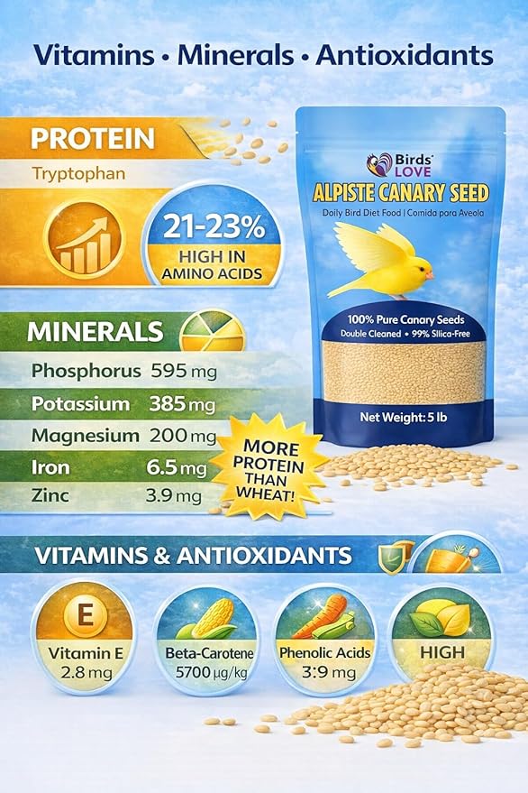 Birds Love Alpiste Canary Seed – 100% Pure, Non-GMO, Double Cleaned Food for Canaries, Finches, Budgies & Parakeets – No Additives, Bird Feed, 5 lbs
