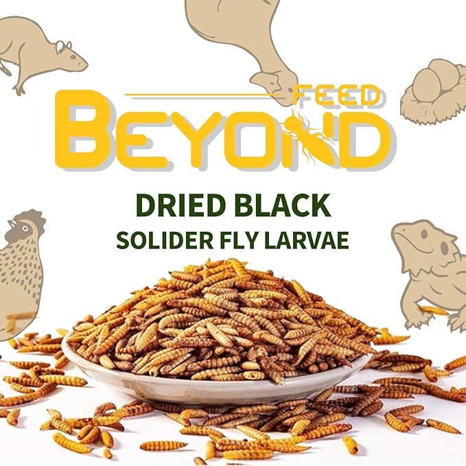 BeyondFeed™Small Bottle Dried Mealworms & Black Soldier Fly Larvae High-Protein Feed for Chickens, Ducks, Birds, Reptiles, Fish, Hamster, Turtles (6 (1.23 oz/35 g) Bottles Bundle, Dried BSF)