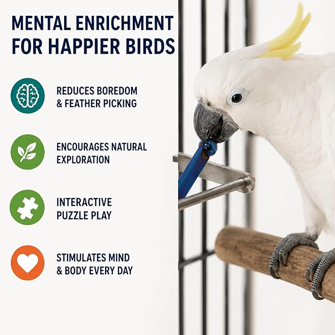 Bird Toys for Large Birds (Blue Spinner) Stainless Steel Bird Toy with Traveling Spinner | Macaw Toys | Durable Puzzle Enrichment Toy for Medium to Large Birds Cockatoos Parrot | Bird Cage Accessories