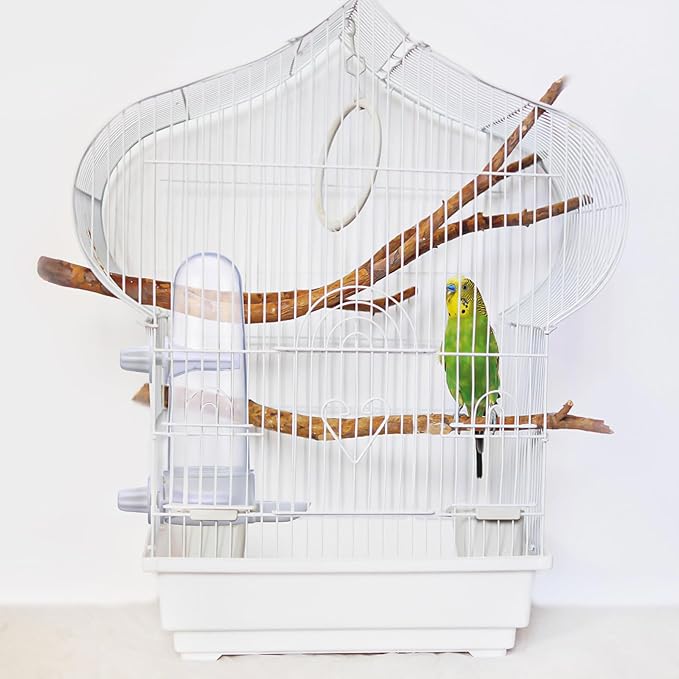 FOMIYES 2pcs Bird Feeder Automatic Bird Water Dispenser for Cage Clear Drinker Bottle Food Dispenser for Parrot Budgie Loves Cockatiel