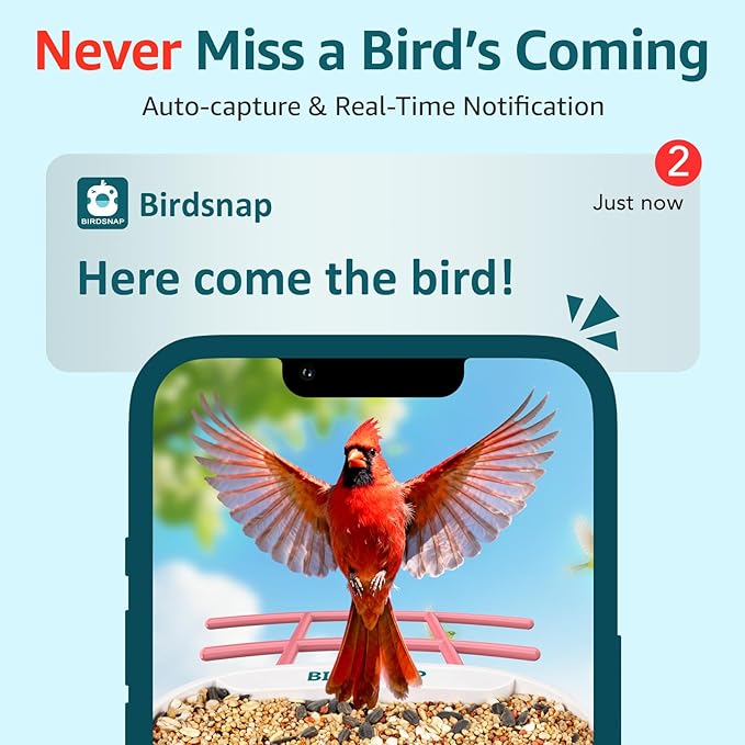 birdsnap® TUC Bird Feeder with Camera 2K HD Live with 32GB Card Auto Detect & Notify AI Identify Camera Birds Feeders Solar Powered Wireless Outdoors Backyard Gift for Mom Dad Birds Lover, 2.4G WiFi
