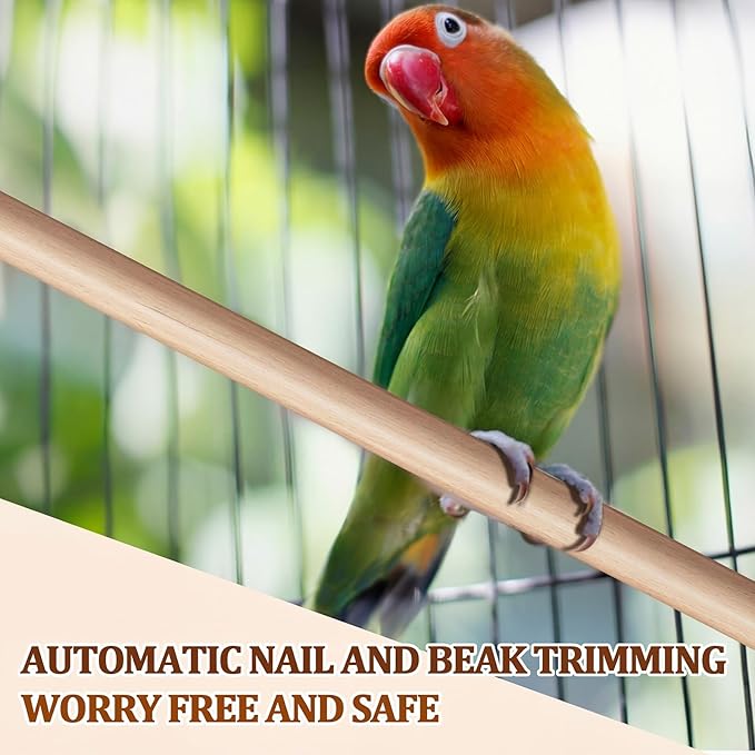 Sintuff 8 Pcs Bird Perches for Cage Accessories, Wooden Perch Rods Replacement with Double Head Slots, 0.6 Inch Diameter Natural Wood Stand for Parrot Macaw Cockatoo Parakeet (15 Inches)
