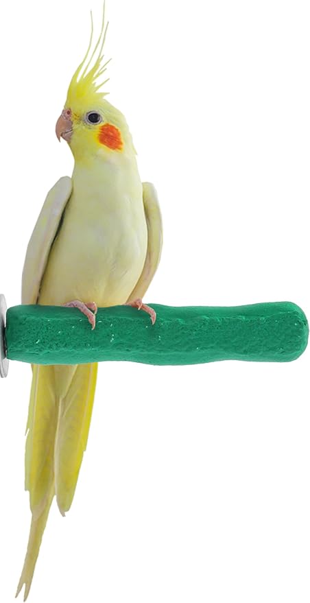 Sweet Feet and Beak Comfort Grip Safety Perch for Bird Cages - Pedicure Perch for Birds to Keep Nails and Beaks in Top Condition - Safe Easy to Install Bird Cage Accessories X-Small 4.5" - Green