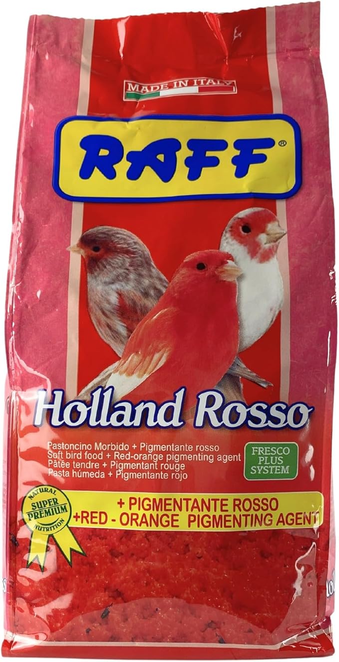Raff Holland Rosso, Canary Food, Premium natural nutrition for vibrant and red plumage, bird food, pet food, Holland food, high in protein and fat, bird food for indoor, finch food (2.2 Pound)