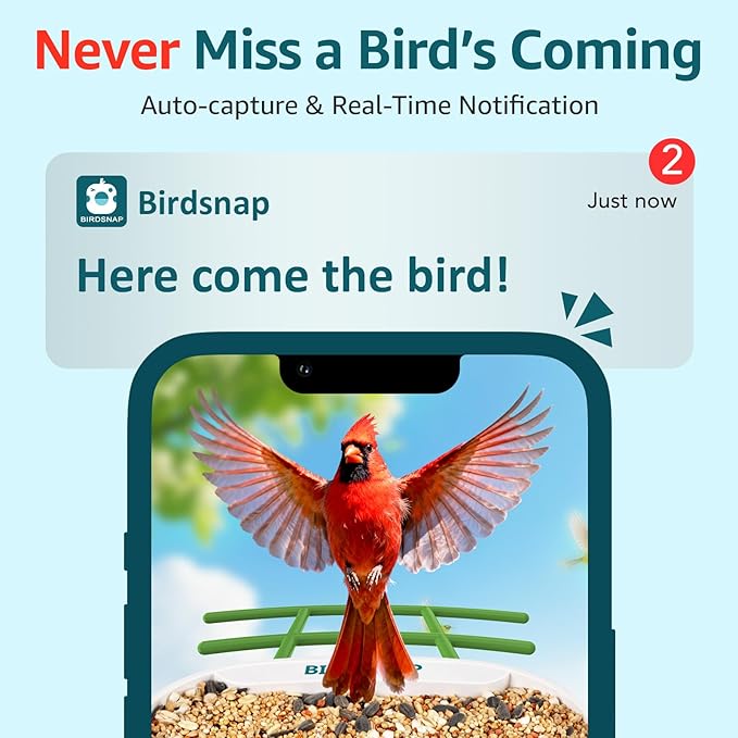 birdsnap® TUC Bird Feeder with Camera 2K HD Live with 32GB Card Auto Detect & Notify AI Identify Camera Birds Feeders Solar Powered Wireless Outdoors Backyard Gift for Mom Dad Birds Lover, 2.4G WiFi