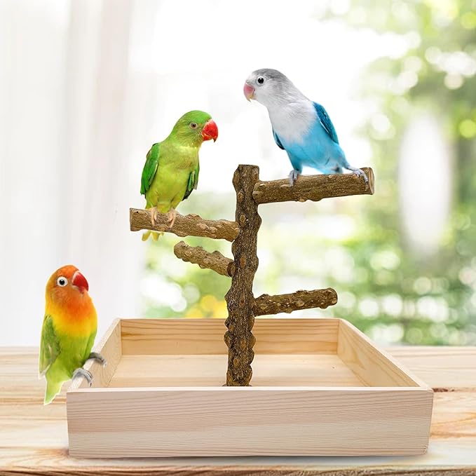 Hamiledyi Bird Perch Stand Playground Parrot Playground Tabletop Natural Wooden Perch PlayStand Platform Toys for Parrots Parakeets Lovebirds Canaries Cockatiels Conure