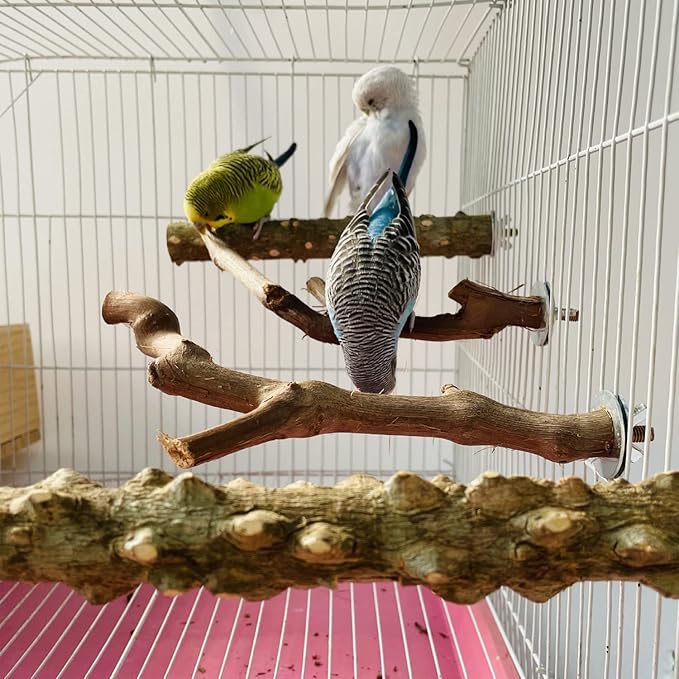 5 PCS Natural Wooden Parrot Stand Bird Perch Stand Grape Stick Hanging Multi Branch Perch for Parrots, Bird Cage Accessories
