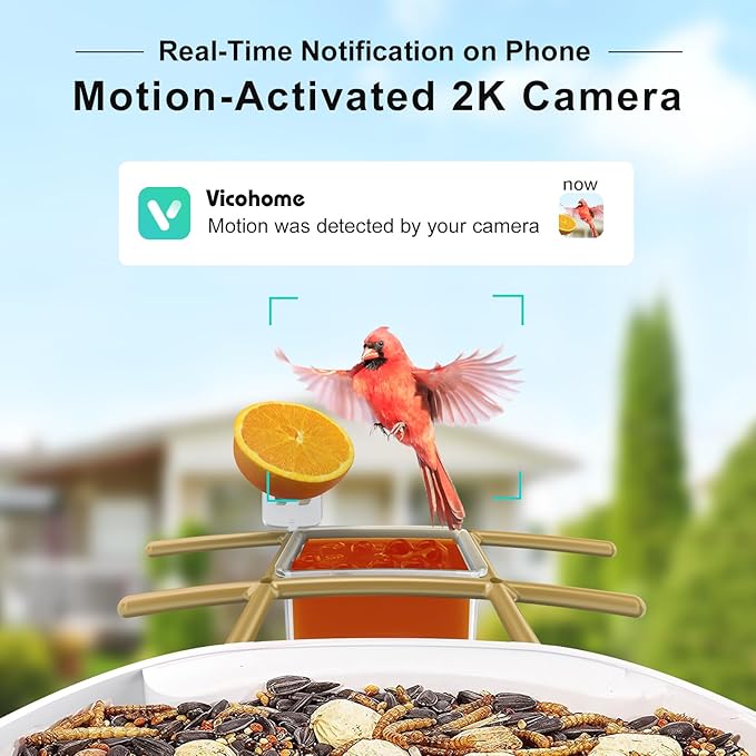 birdsnap® TUC Bird Feeder with Camera 2K HD Live with 32GB Card Auto Detect & Notify AI Identify Camera Birds Feeders Solar Powered Wireless Outdoors Backyard Gift for Mom Dad Birds Lover, 2.4G WiFi