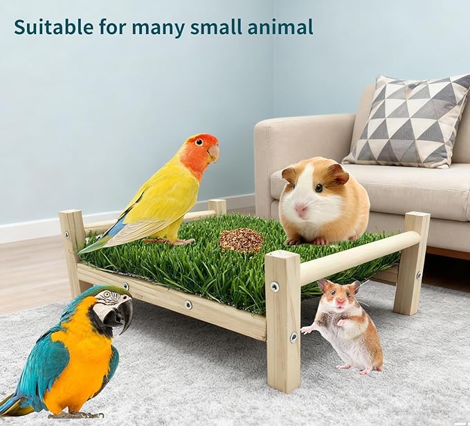 Bird Toy with Foraging Mat, Parrot Forage Toy Bed, Parrot Grass Perch Hammock Bed, Bird Perch Conure Platform Grass Forage Toy for Parakeet, Cockatiel, Lovebird, Budgie