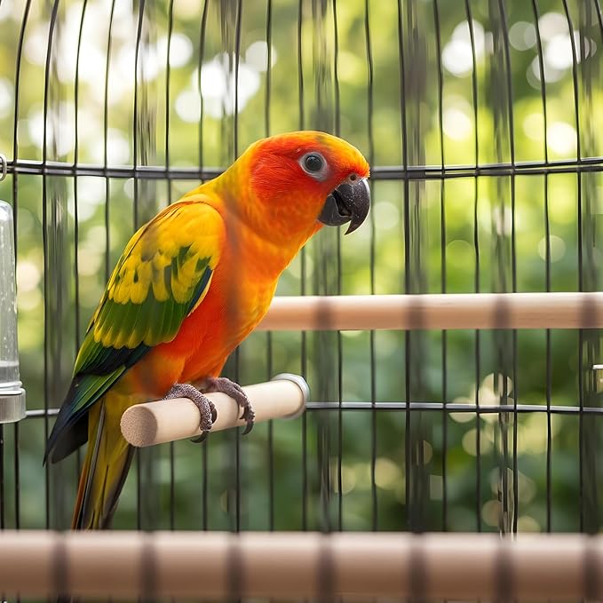 5-Pack Bird Cage Perch,Natural Wood Bird Cage Perch,Birds Perches for Cages with Assorted Sizes (10–30 cm) for Parakeets, Cockatiels, Budgies,Chewable Climbing Sticks for Foot Exercise