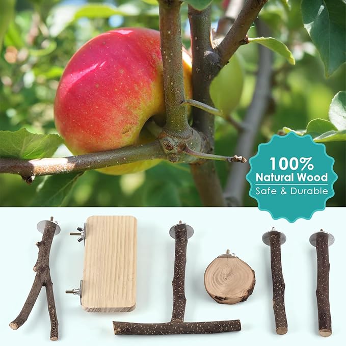 DBNESS Bird Perches, 6 Pcs Natural Wood Parrot Perch Stand Chew Toys, Hanging Multi-Branch Parrot Perch Platform Swing Toy Cage Accessories for Small Parakeets, Budgies, Lovebirds, Canaries, Finches
