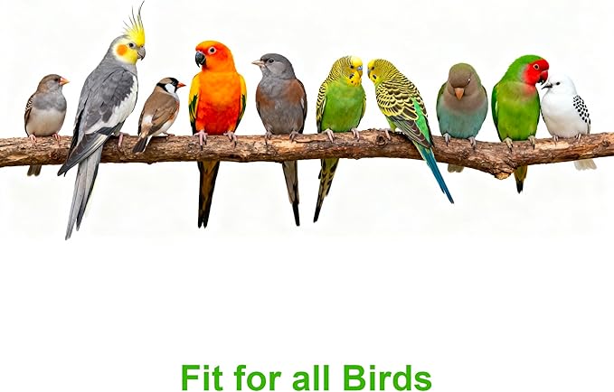 2-Pack Square Bird Foraging Mat for Parakeets & Cockatiels | 80g Weighted Anti-Slip Silicone Slow Feeder Toy | Enlarged Holes for Mixed Seeds & Fruits | Enrichment Toy for Budgies, Conures & Finches