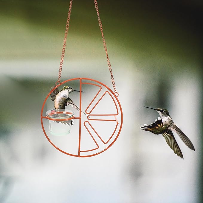 Unique Hanging Glass Bird Feeder Durable Outdoor Accessory for Balcony Garden Multifunctional Feeding Tool for Parrots Wild Birds Enhances Nature Connection Garden Decor