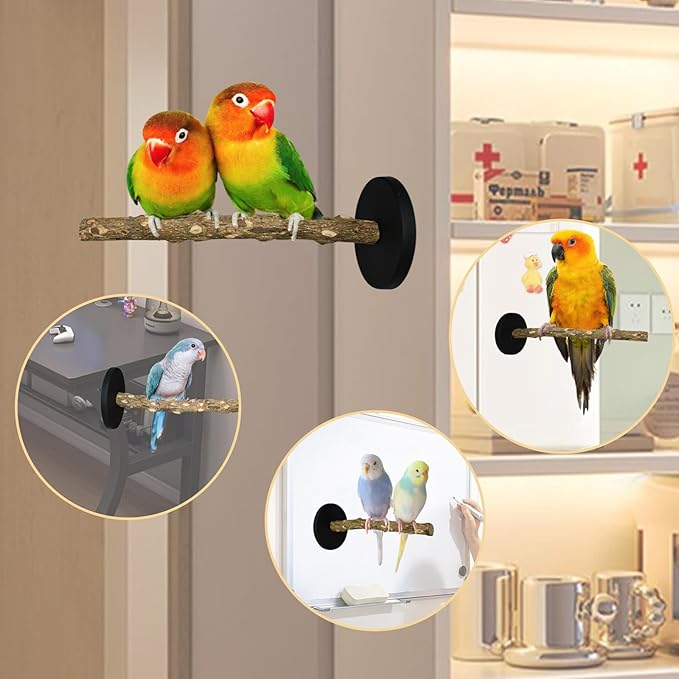 ASOCEA Bird Perch Bird Stand with Magnet,Portable Parrot Training Stick Natural Wood for Parrots,Parakeet,Lovebird,Cockatiels,Budgies-Strong Magnet Mount for Any Iron Surfaces