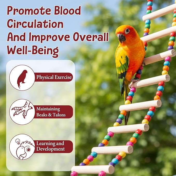 Bird Cage Ladder 22 x 3.93 in Climbing & Swing Toys Parakeets Cage Accessories Wooden Bird Playground Hanging Ladder for Small Birds Cockatiel(10 Steps)