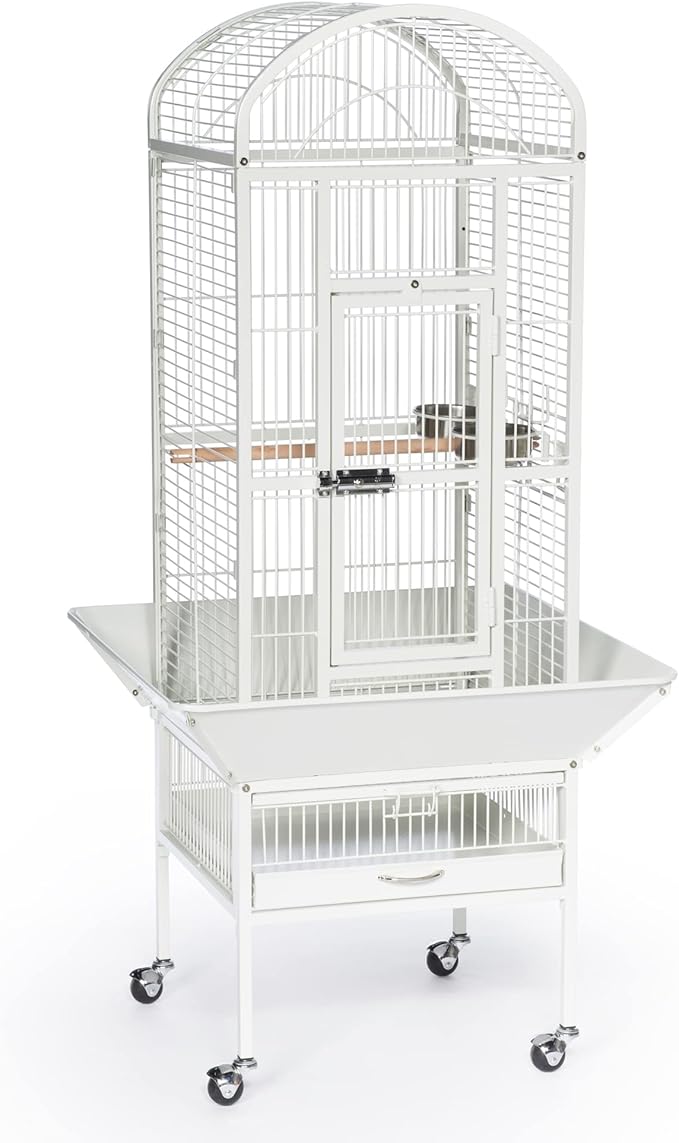 Prevue Pet Products Dome Top Bird Cage - Powder‑Coated Steel Cage with Wheels, Push Button Locks, Seed Guards and Perch, Ideal for Cockatiels, and All Small-Medium Sized Birds - Chalk White