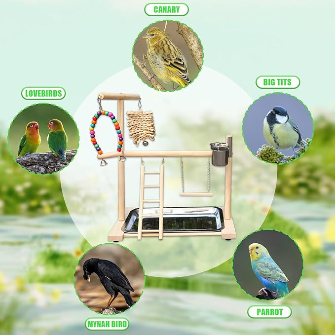 Bird Stand, Natural Wood, Parrot Playground with Removable Tray & 2 Stainless Steel Feeder Cups, Suitable for Parakeet, Conure, Cockatiel, Lovebird, Canary, Lorikeet & African Grey