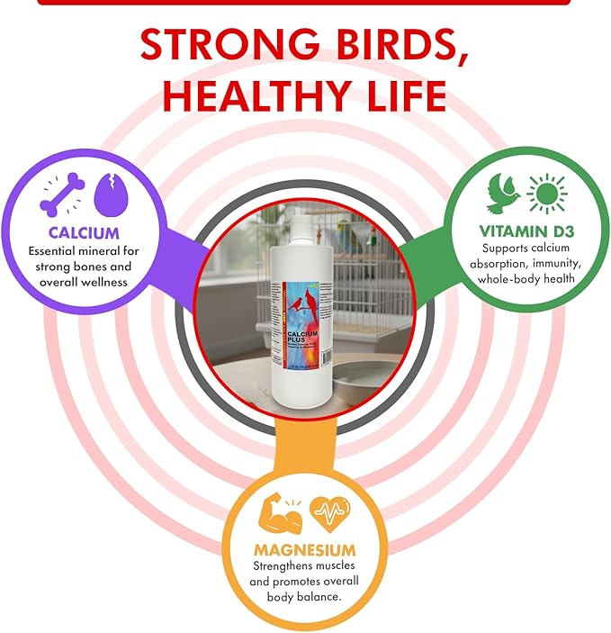 Morning Bird Calcium Plus Liquid for Birds – Calcium Supplement with Vitamins and Minerals for Strong Eggshells, Healthy Bones - Support Growth, Breeding, and Wellness for All Birds 32 Fl Oz