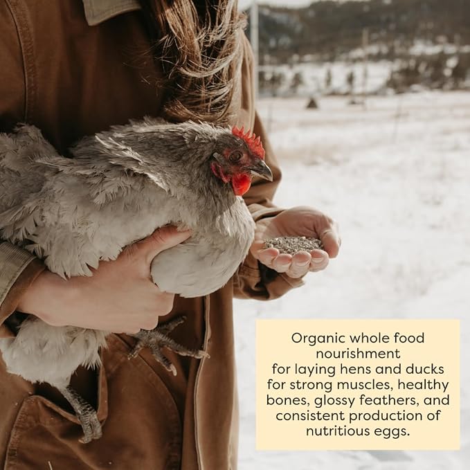 Scratch and Peck Feeds Whole Grain Layer Pellets Chicken and Duck Feed - 25 lbs Bag - Corn-Free and Soy-Free - 16% Protein, Certified Organic and Non-GMO Project Verified Chicken Food