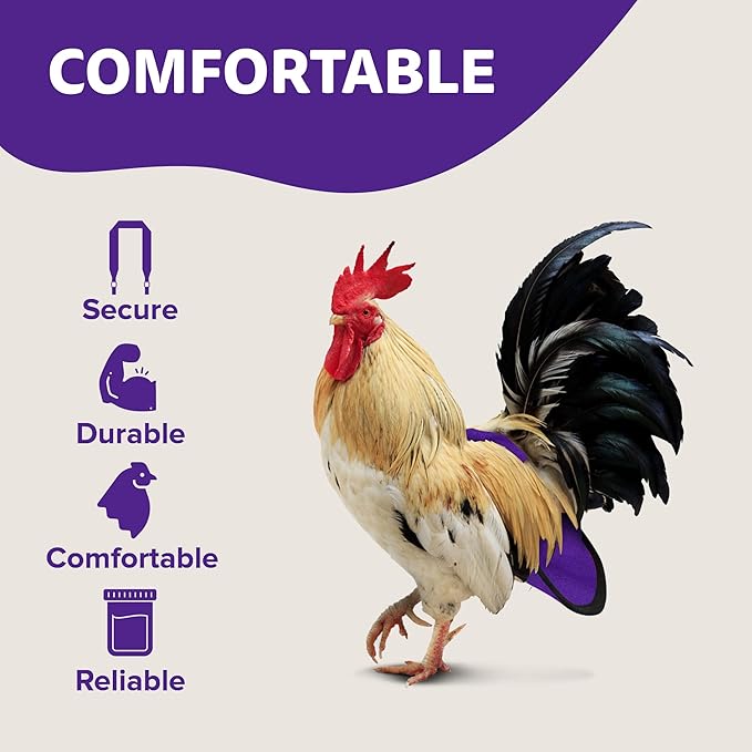 Hen Holster Premium Starter Kit - Bird Diaper, Wrap Around for Hens, Roosters, Ducks - Leak-Proof, Comfortable Bird Harness with Sewn-in Liner, Secure Hook & Loop Closure - XL, Purple