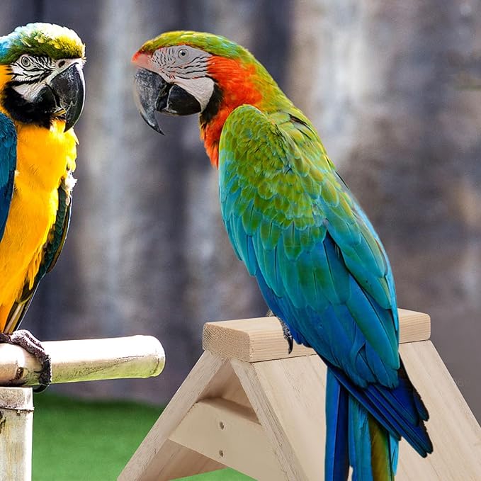 Hemobllo Bird Supplies 2Pcs Wooden Pigeon Perch Durable Dove Rest Stand Pet Birds Standing Rack