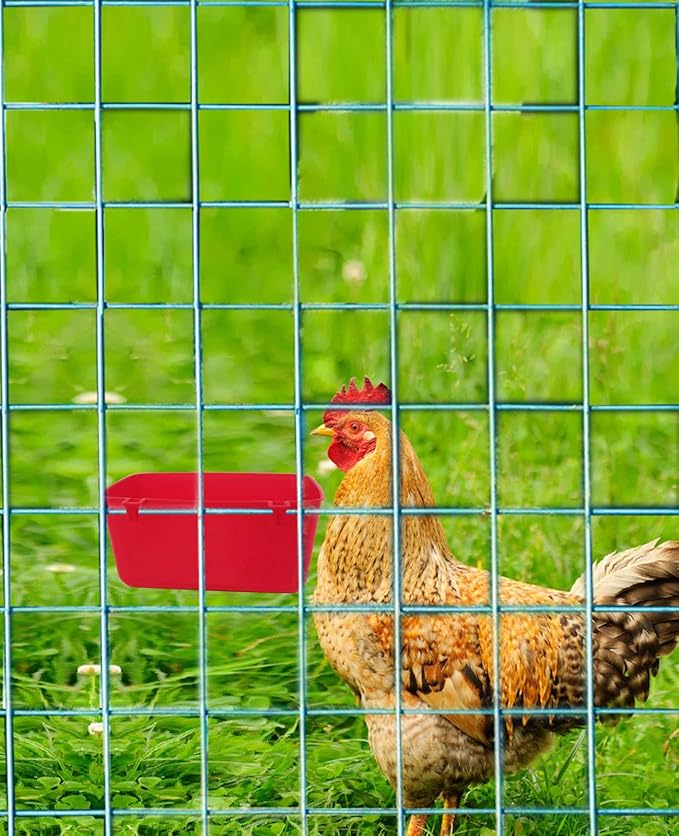 6 Pack Feeder Waterer Chicken 21 oz Food Water Cage Cups Puppy Cat Rabbit Hanging Feeding Dish Coop Bowl Watering Container Treats Drinker for Pigeon Bird Bath Basin Hamster Bed