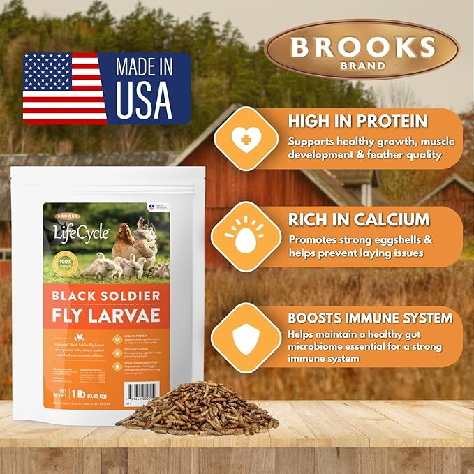 Brooks Brand Black Soldier Fly Larvae Chicken Treats, Mealworms Alternative, Grubs for Chickens, High Calcium for Laying Hens, Made in USA, 1 lbs