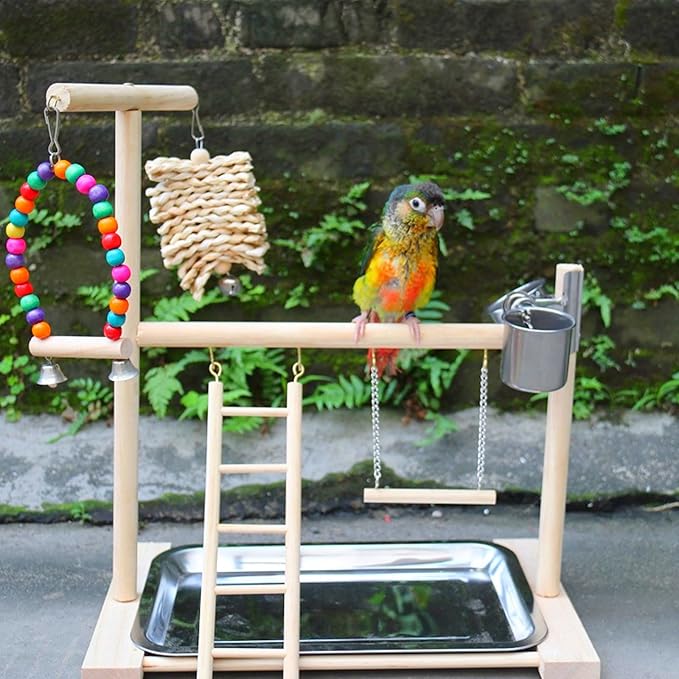 Bird Stand, Natural Wood, Parrot Playground with Removable Tray & 2 Stainless Steel Feeder Cups, Suitable for Parakeet, Conure, Cockatiel, Lovebird, Canary, Lorikeet & African Grey