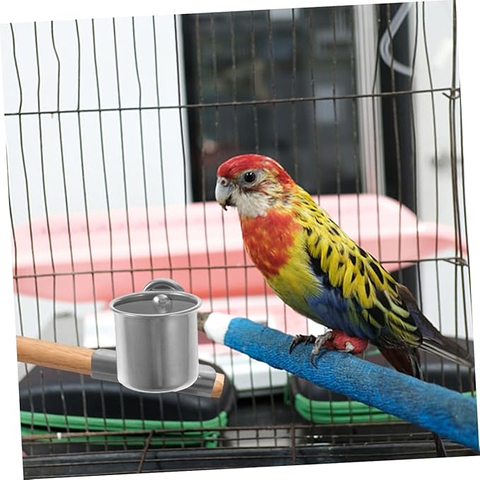LIOOBO Parrot Feeder Cups with Clamp 4-Pack Stainless Steel Food and Water Bowls for Small Birds Including Parakeets Cockatiels and Lovebirds Cage Feeding