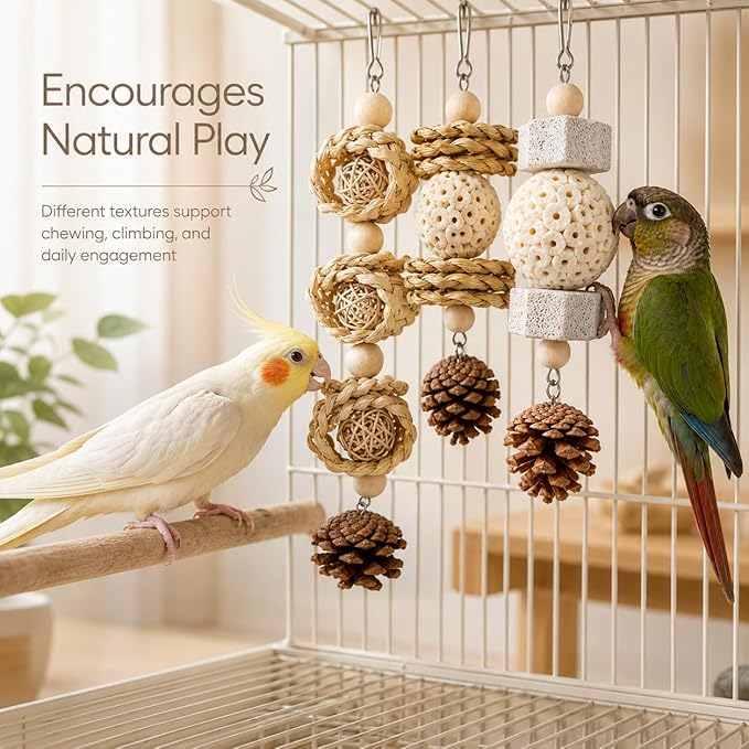 3 Pack Bird Toys for Small Birds, Texture-Rich Shredding & Chewing Toys with Sola Ball, Rattan Balls, Pumice Stone and Pinecone, Hanging Cage Toys for Budgies, Cockatiels, Lovebirds and Small Conures