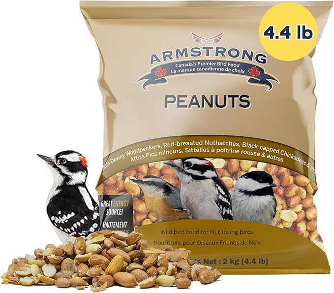 Armstrong Wild Bird Food Shelled Peanut Halves Bird Seed, 4.4 Pounds - for Downy Woodpeckers, Red-Breasted Nuthatches and Black-Capped Chickadees for Outside Feeders