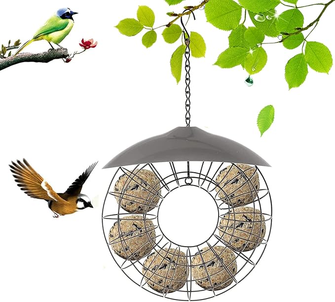 Fat Ball Stand, Fat Ball Feeder for Bird Feeder, Hanging Round Shape Metal, Food Ring Dispenser with Lid