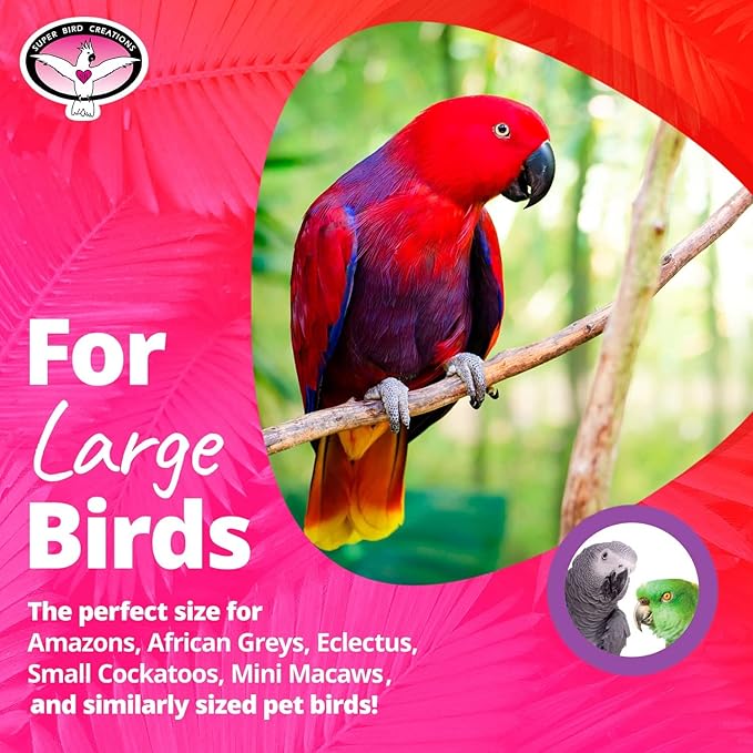Super Bird Creations SB676 Spin Tower Bird Toy - Enrichment & Boredom Relief Toys for Amazons, African Greys, Parrots, Small Cockatoos, Mini Macaws - Textured Toy - Large Bird Size, 13" x 3" x 3"