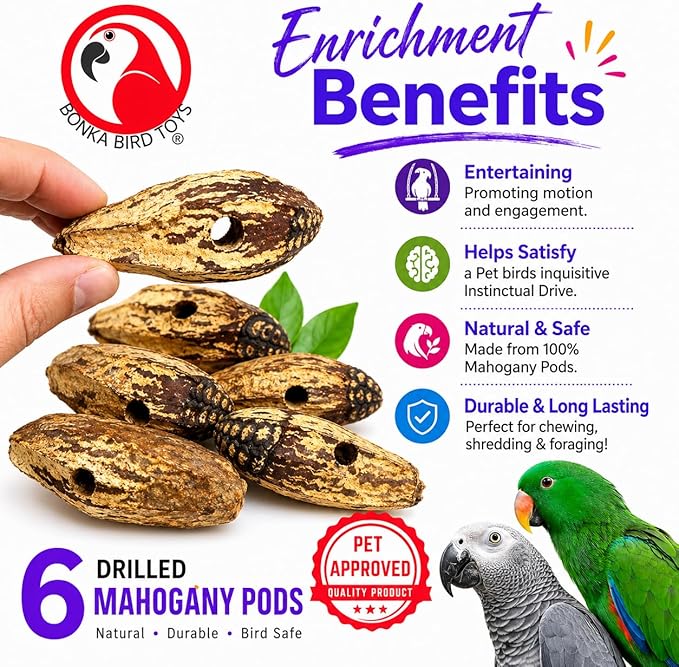 Bonka Bird Toys 3410 Drilled Mahogany Pods Shreddable Foraging Bird Toy with Natural Materials Hanging Cage Toy 9" for Small to Medium Parrots Conure Cockatiel Budgie Chewing Enrichment (Pack of 6)