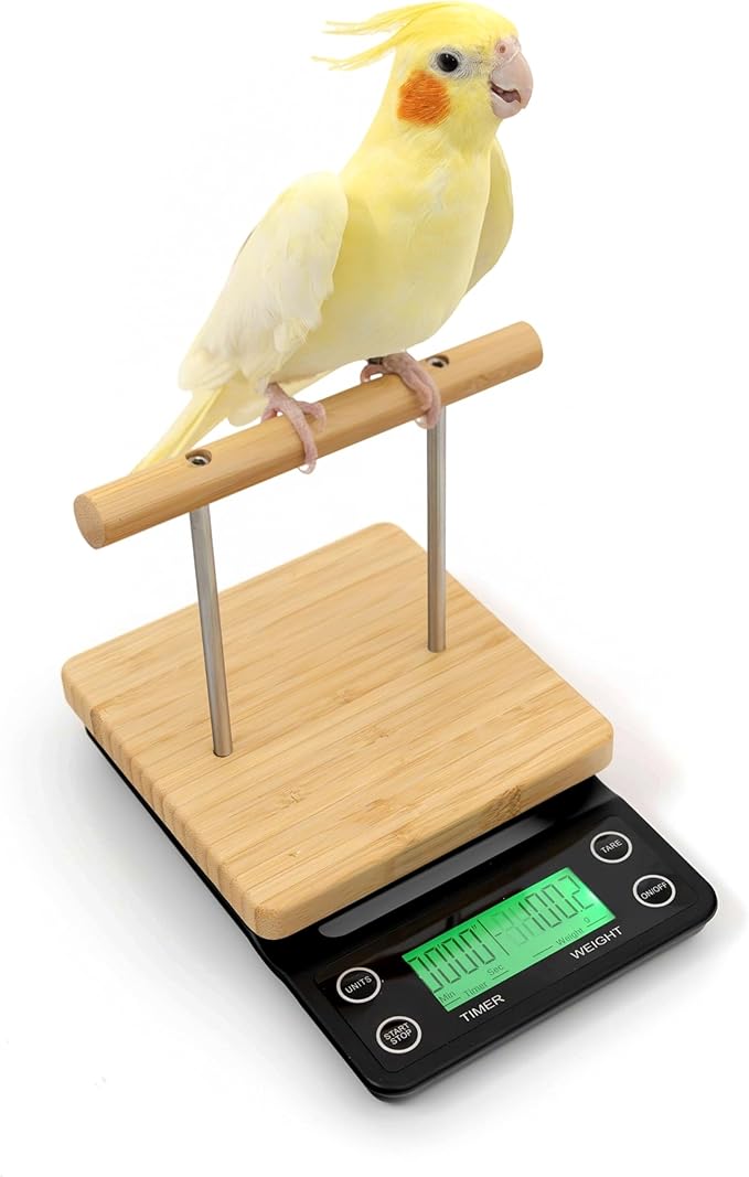 NEOUZA Perch-Mounted Pet Bird Scale, Parrot Weight Scale with Perch, Weight Change Monitoring, Suitable for Parrot, Canaries, Budgerigars, Cockatiels, Society Finches