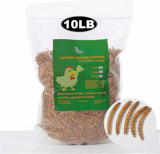 10LBs Non-GMO Dried Mealworms,High-Protein Larvae Treats Feed Molting Supplement for Birds Hens Ducks etc,Large Bulk Meal Worms Birds Chicken Food