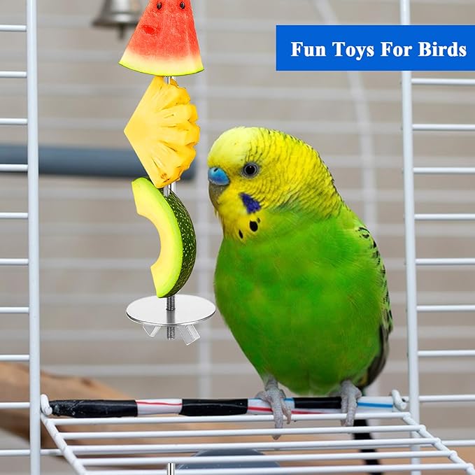 3 Pcs Bird Cage Food Holder, Stainless Steel Fruit Vegetable Skewer Bird Feeder for Cage Hanging Foraging Toys for Parrot Parakeet Small Animals Birds Cage Accessories