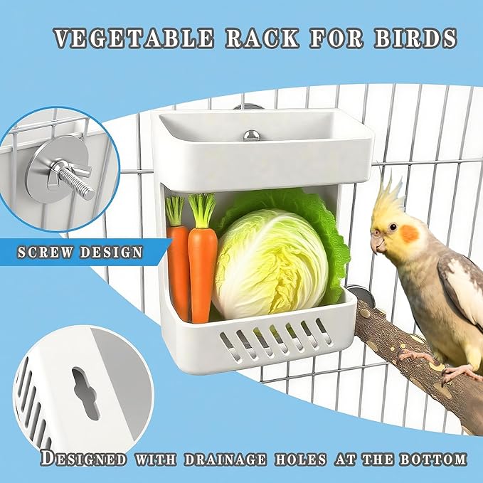 5-Pack Bird Cage Food and Fruit Skewer Set, Parrot Fruit Clip Feeder, Stainless Steel Bird Food Holder, Foraging Toys for Budgies, Cockatiels, and Finch Species
