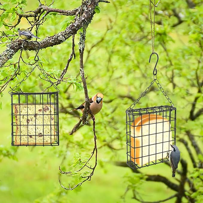 2Pcs Outdoor Suet Cage Bird Feeder, Hanging Wild Bird Feeder with Single Suet Cake Capacity, Multi-Use for Suet/Oranges/Nesting