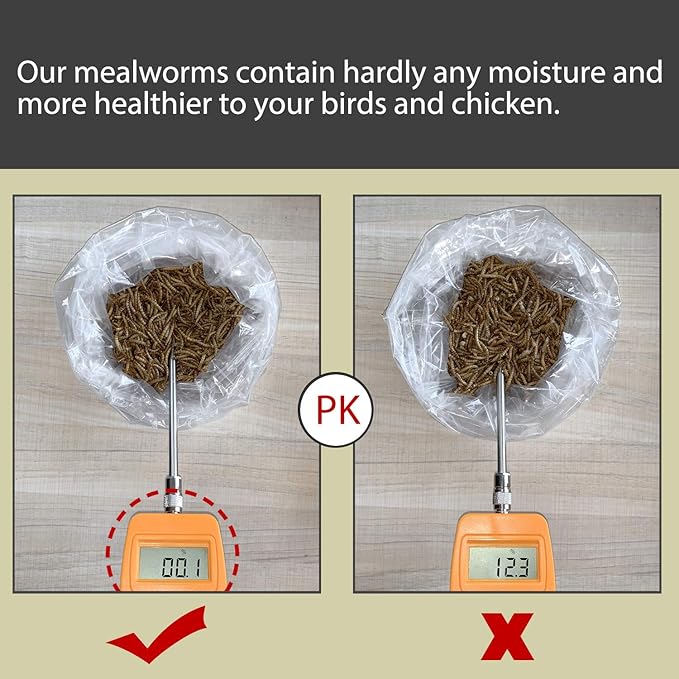 Non-GMO Dried Mealworms 22LB,100% Natural Large Size No Moisture,Treats for Birds Chickens Hedgehog Hamster Fish Reptile Turtles