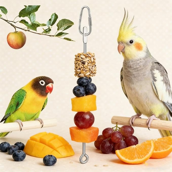 Bird Cage Food Holder Parrot Fruit Vegetable Skewer Hanging Stainless Steel Feeder for Parakeet Cage Accessories Premium Bird Cage Accessories for Cockatiel Conure Practical Present