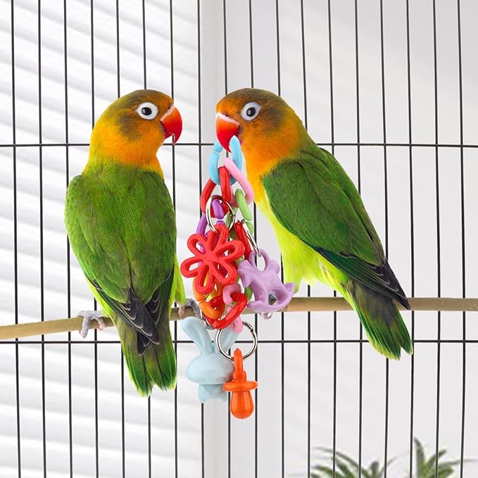 Hypeety Bird Parrot Foot Toy Chewing Swing Bite Toy Plastic Parrot Toys Bird Toys Macaw Toys for Lovebirds Conures Caiques Sun Parakeet Cockatiel Budgie