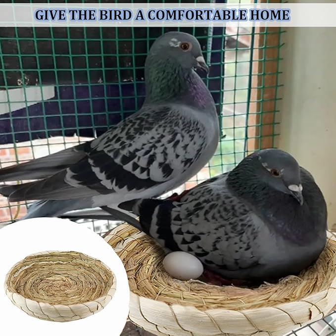 5 Pcs Pigeon Nest, Bird Nest Bowls, Wooden Nest for Pigeons Breeding Hatching (Natural Nest)