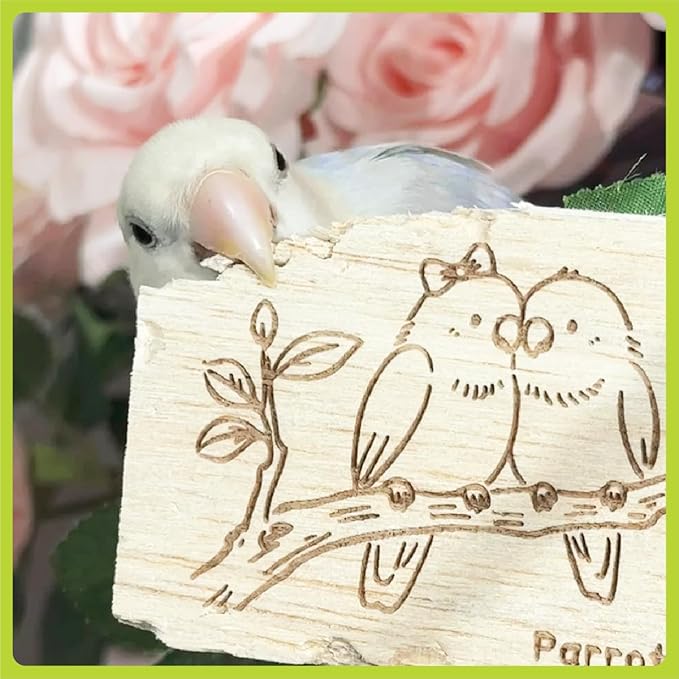 Natural Balsa Wood Bird Chew Toys,10 Pack Soft Wooden Slices with Cute Prints, Safe Shredding & Foraging Toys for Budgies, Parakeets, Lovebirds, Cockatiels and Small Birds