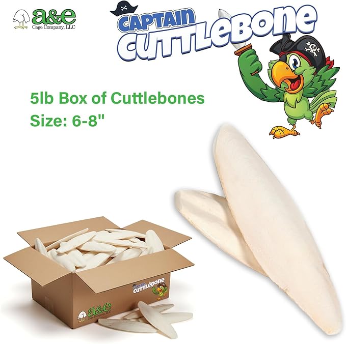 A&E Cage Company Captain Cuttlebone AE9012 Natural Bird Cuttlebone – 5lb Bulk Box of 6–8" Cuttlebone Pieces – Calcium Supplement for Parakeets, Budgies, Finches, Canaries, Lovebirds & Small Birds