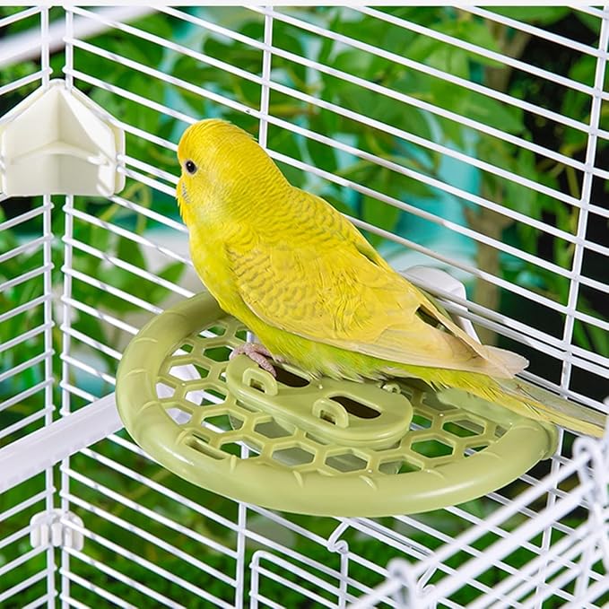 septillar Bird Mirror with Perch Stand, Bird Toys for Parakeet Cockatiel Conure Lovebirds Finch Canaries (Green)