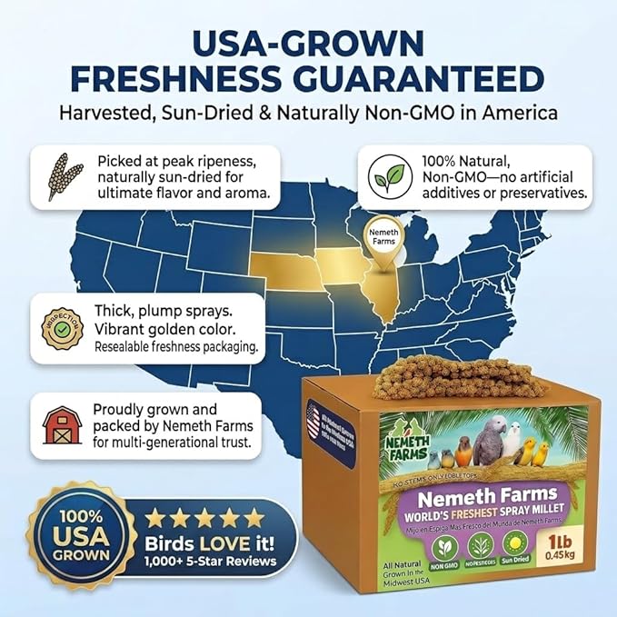 Nemeth Farms Spray Millet - Edible Tops Only, Non-GMO and Sun-Dried - 1 lb for Parakeets, Canaries and Finches
