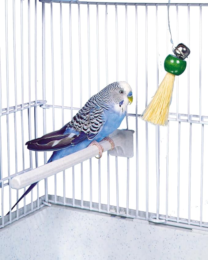 Penn-Plax Bird-Life Hanging Pacifier Bell for Bird Cages - Preening Toy for Parakeets, Bungies, Cockatiel, Lovebird, Parrotlet – Small (BA523)