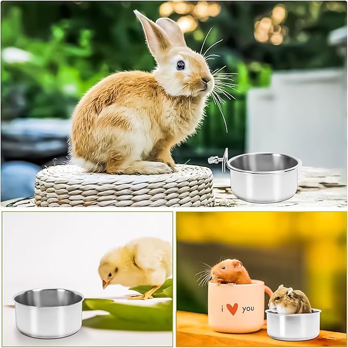 2 Pack Bird Feeding Bowls Cups Parrot Food Water Dishes, Stainless Steel Bird Bowl Cup Dish with Clamp, Birdcage Feeder Pet Cage Bowls for Cockatiel Budgie Conure Macaw Parakeet Small Animal